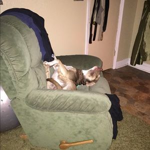 Meet your Posher, Sharon